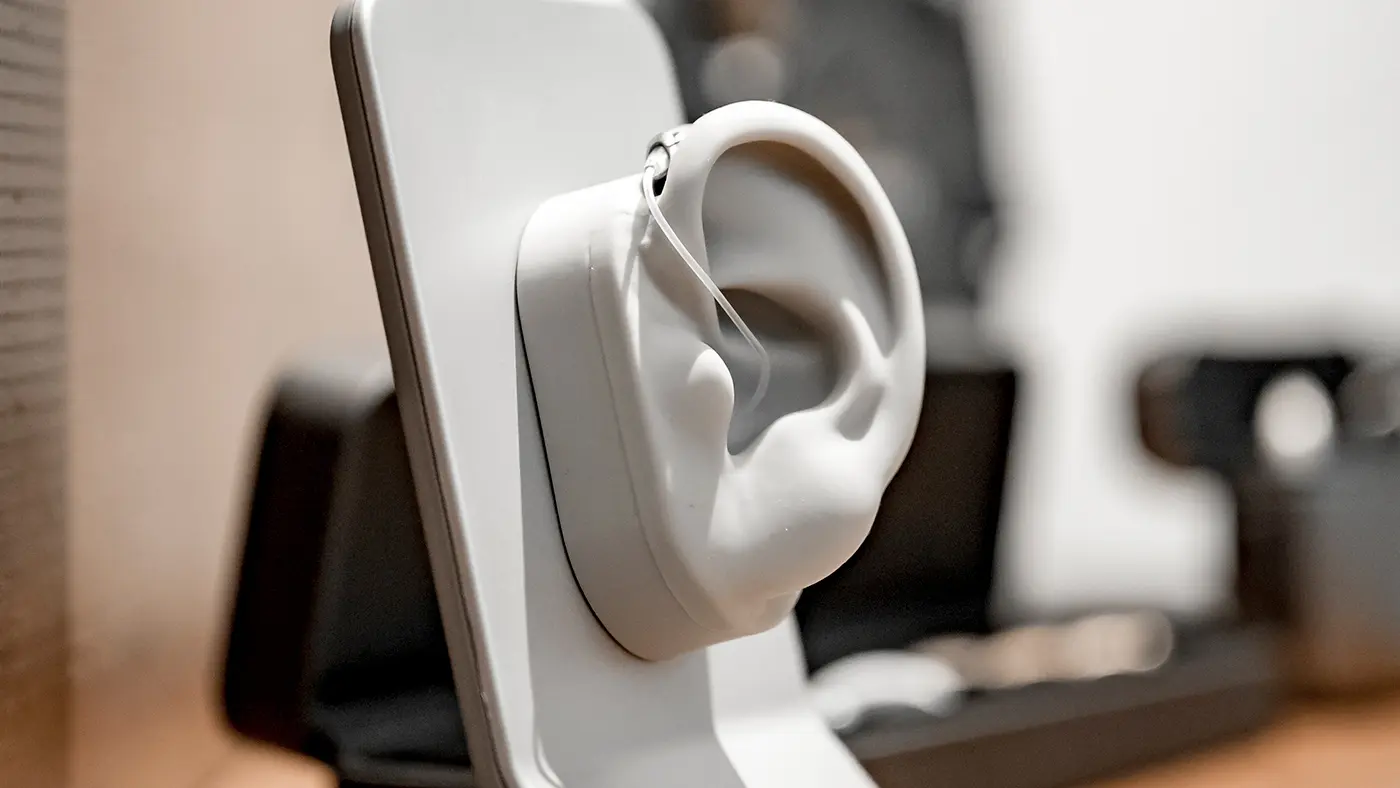 Ein Modell eines menschlichen Ohrs ist auf einem weißen Ständer montiert, mit unscharfen Objekten im Hintergrund.