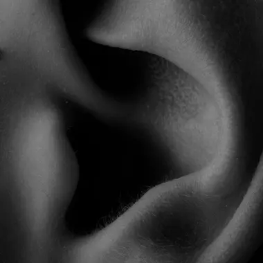 Schwarz-Weiß Foto von der Nahaufnahme eines Ohres.