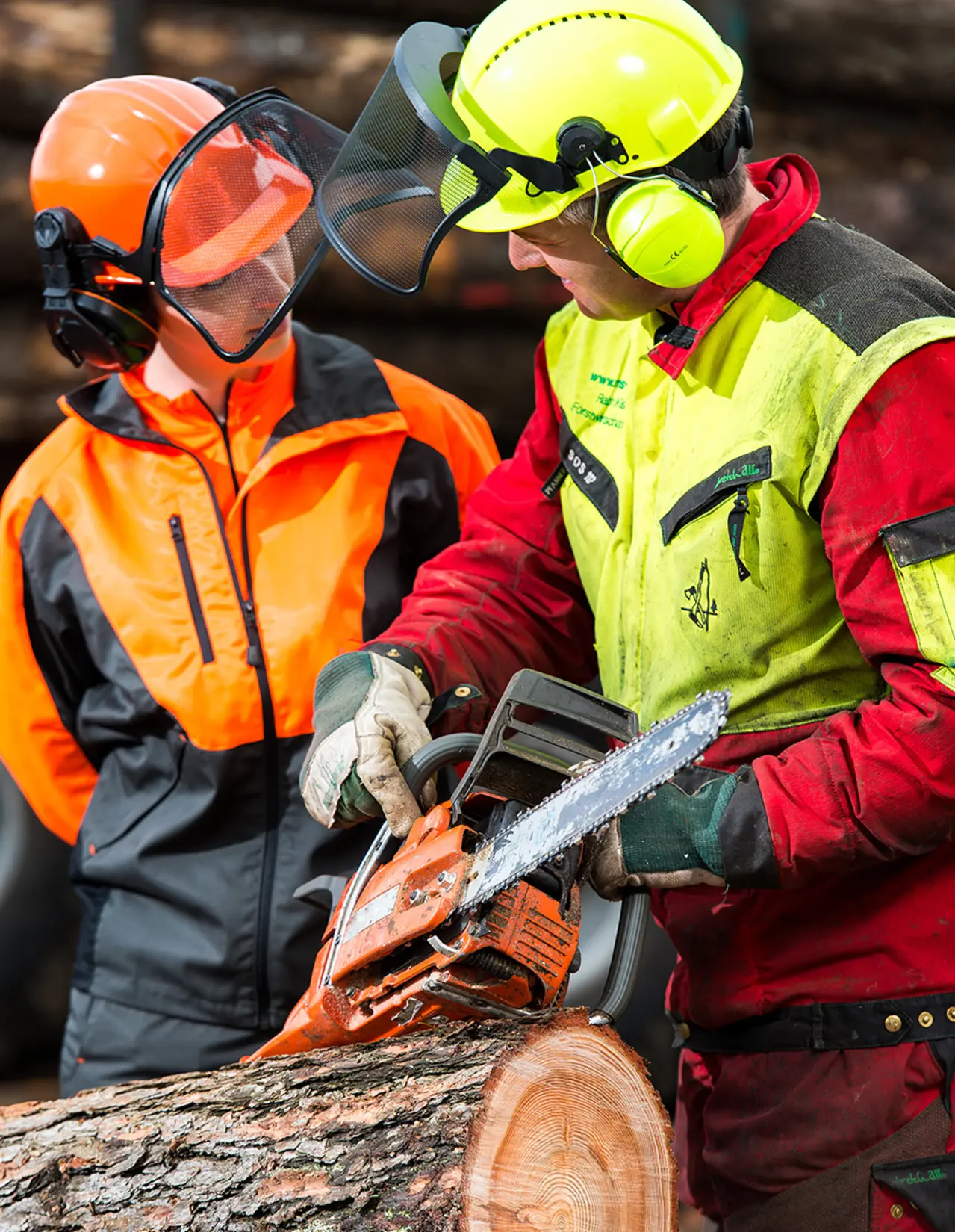 Zwei Arbeiter in Schutzkleidung schneiden einen Baumstamm mit einer Kettensäge und unterhalten sich im Freien in der Nähe eines Holzstapels.